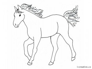 horse-drawing3-1.jpg